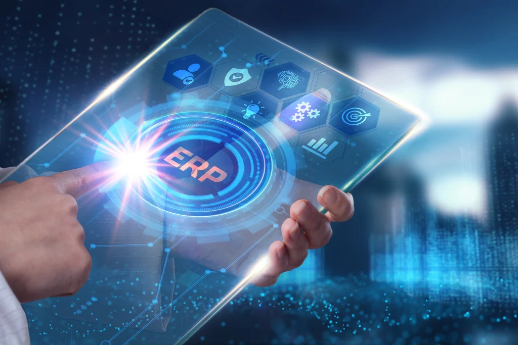 ERP Development Services